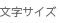 文字サイズ